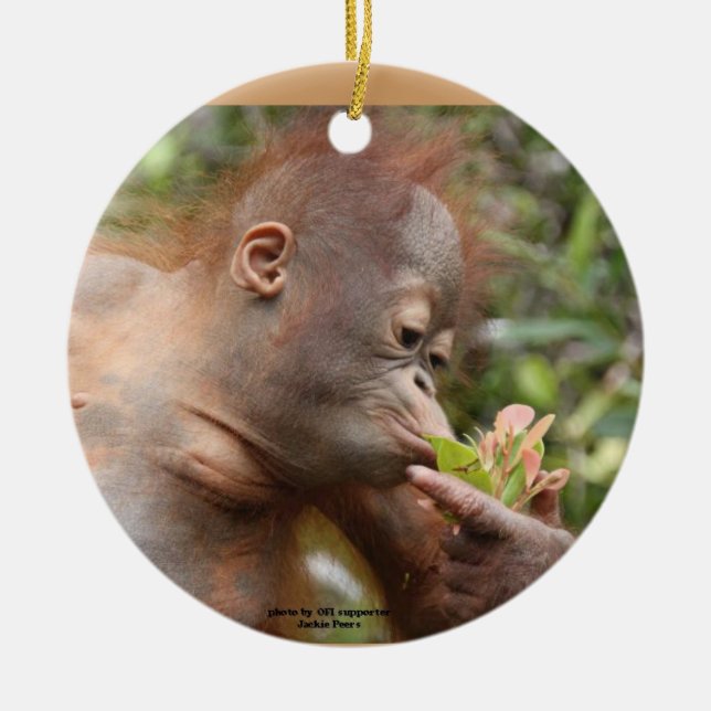 Orangutan Holiday Treats Ceramic Ornament (Front)