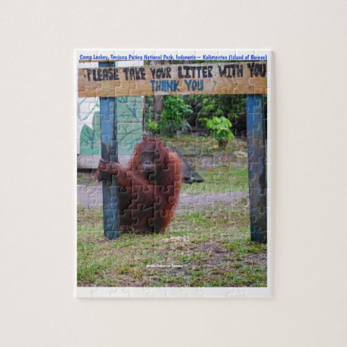 Orangutan in Indonesian Borneo Puzzle