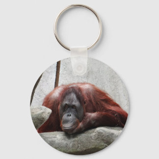 Orangutan Keychain