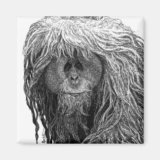 Orangutan Magnet