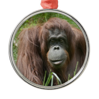 Orangutan Metal Ornament