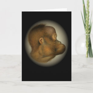Orangutan Monkey Face Wild Rainforest Primate Apes Card