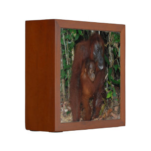 Orangutan Mother and Baby Desk Organizer