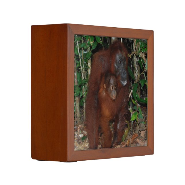 Orangutan Mother and Baby Desk Organizer (Left)