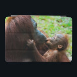 Orangutan mother and baby iPad mini cover<br><div class="desc">Nico Tondini / DanitaDelimont.com | Asia,  Malaysia | Malaysia,  Malaysian Borneo,  Sarawak,  Semenggoh Nature Reserve,  Orangutan (Pongo pygmaeus) mother and baby.</div>