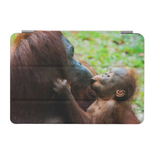 Orangutan mother and baby iPad mini cover