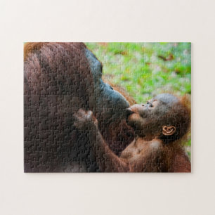 Orangutan mother and baby jigsaw puzzle