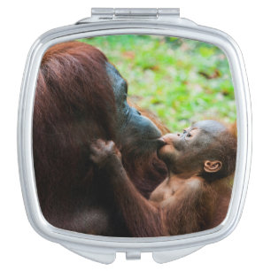 Orangutan mother and baby mirror for makeup
