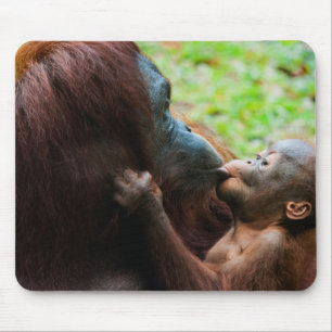 Orangutan mother and baby mouse pad