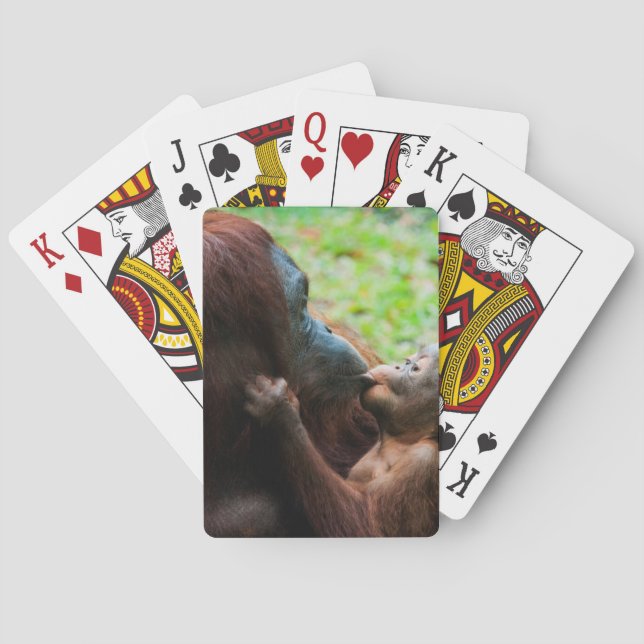 Orangutan mother and baby poker cards (Back)