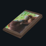 Orangutan mother and baby trifold wallet<br><div class="desc">Nico Tondini / DanitaDelimont.com | Asia,  Malaysia | Malaysia,  Malaysian Borneo,  Sarawak,  Semenggoh Nature Reserve,  Orangutan (Pongo pygmaeus) mother and baby.</div>