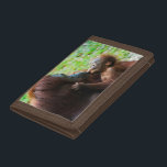 Orangutan mother and baby trifold wallet<br><div class="desc">Nico Tondini / SuperStock.com | Asia,  Malaysia | Malaysia,  Malaysian Borneo,  Sarawak,  Semenggoh Nature Reserve,  Orangutan (Pongo pygmaeus) mother and baby.</div>
