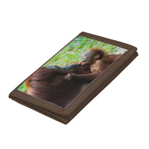 Orangutan mother and baby trifold wallet