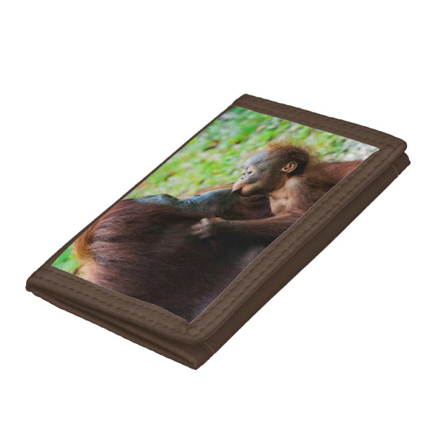 Orangutan mother and baby trifold wallet (Bottom)