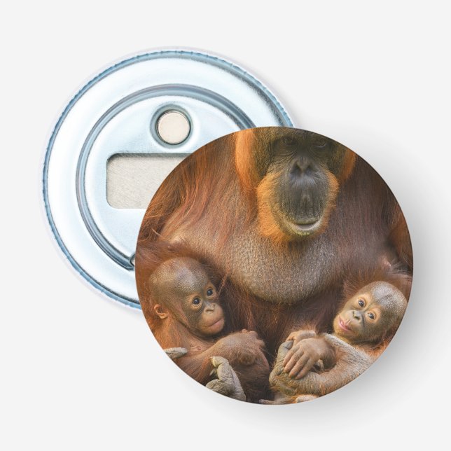 Orangutan Mother Holding Two Babies Bottle Opener (Front)