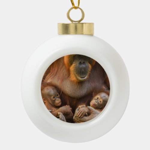 Orangutan Mother Holding Two Babies Ceramic Ball Christmas Ornament