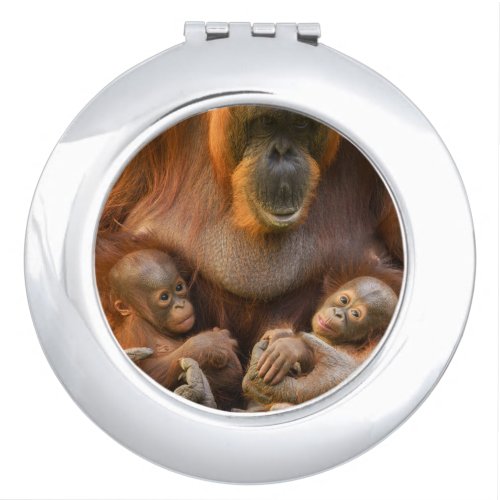 Orangutan Mother Holding Two Babies Compact Mirror