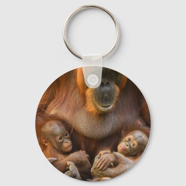 Orangutan Mother Holding Two Babies Keychain (Front)