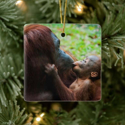 Orangutan Mother with Baby Ceramic Ornament