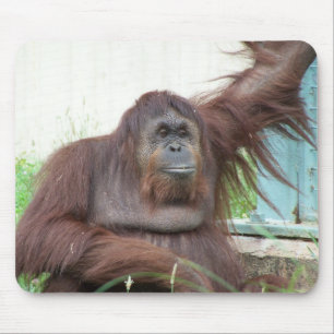 Orangutan Mousepad