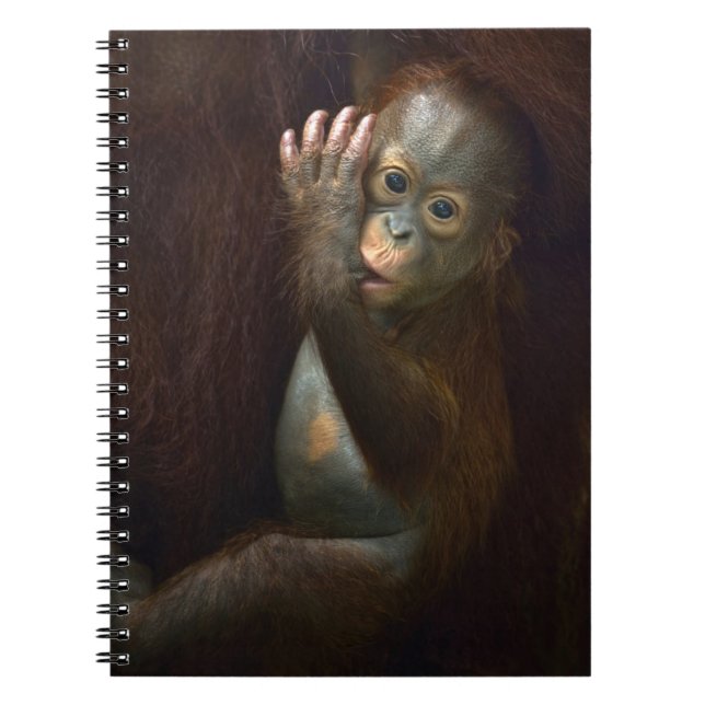 Orangutan Notebook (Front)