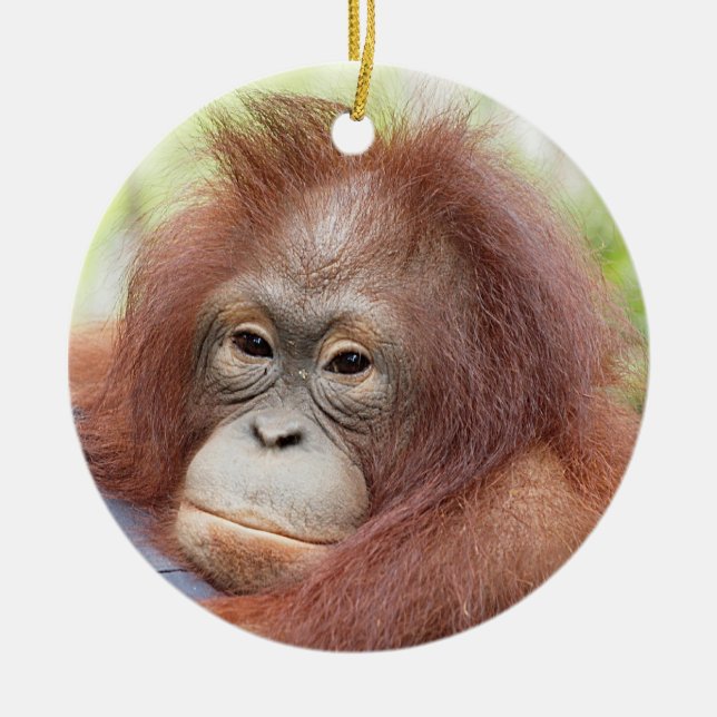Orangutan Orphan Dr. Ann Ceramic Ornament (Front)