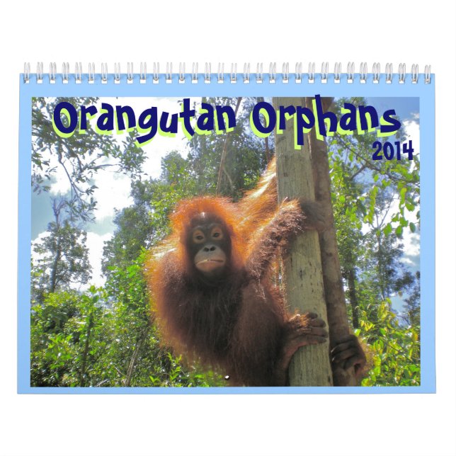 Orangutan Orphans Calendar (Cover)