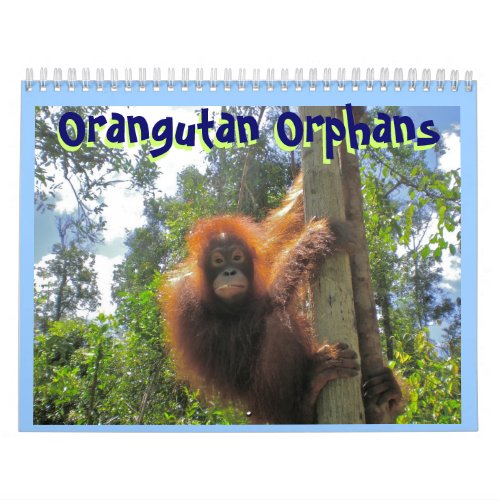 Orangutan Orphans Calendar