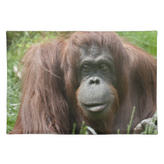 Orangutan Placemat