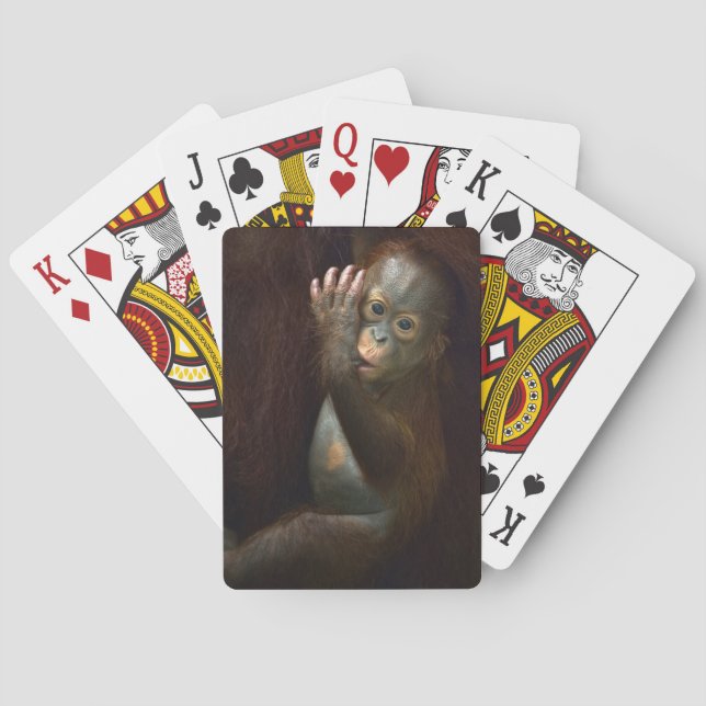 Orangutan Poker Cards (Back)