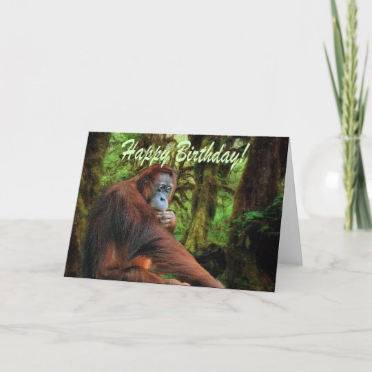 Orangutan & Rainforest Birthday Card | Zazzle.com