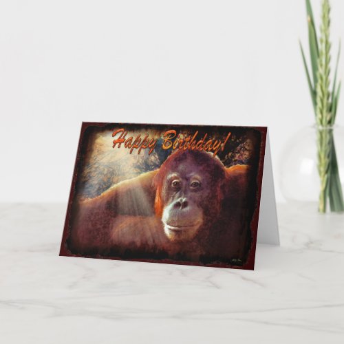Orangutan  Rainforest Sunlight Birthday Card