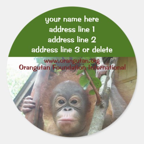 Orangutan Rescued Wildlife Charity address labels