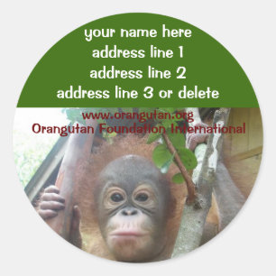 Orangutan Rescued Wildlife Charity address labels