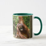 Orangutan Save Great Apes Mug at Zazzle
