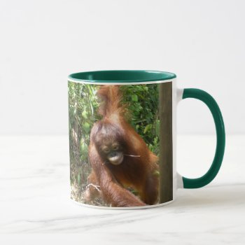 Orangutan Save Great Apes Mug by Krista_Orangutan at Zazzle