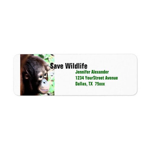 Orangutan Save Wildlife Label