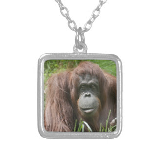 Orangutan Silver Plated Necklace