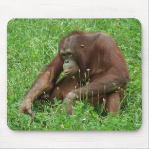 Orangutan Sitting Portrait Mousepad
