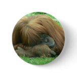 Orangutan Snoozing Button
