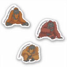 "Orangutan Species" Sticker