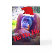 Orangutan standard Christmas cards