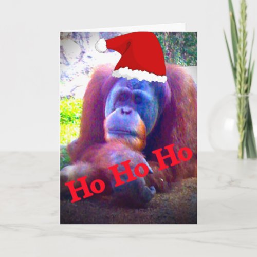 Orangutan standard Christmas cards