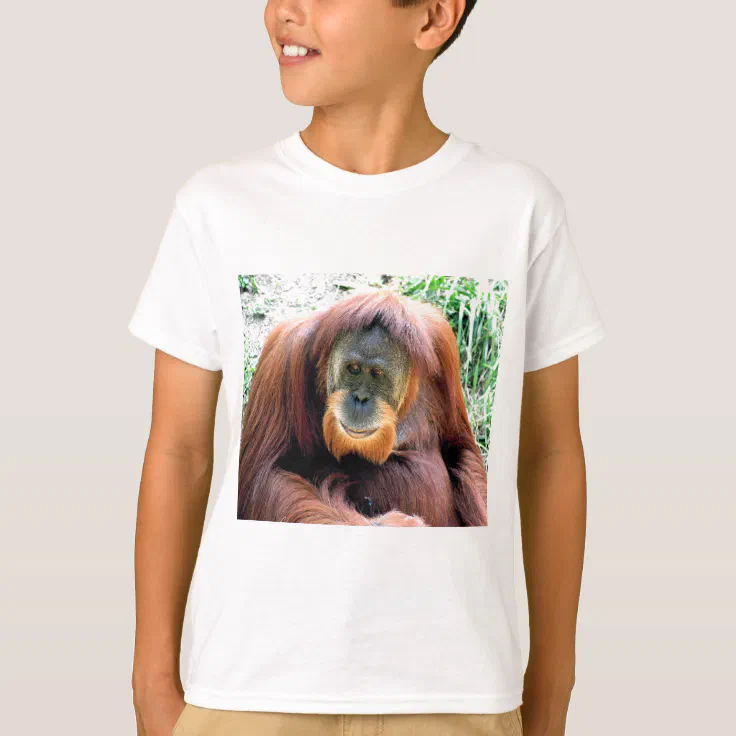 Orangutan Zazzle