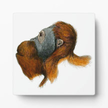 Orangutan Tabletop Plaque with Easel