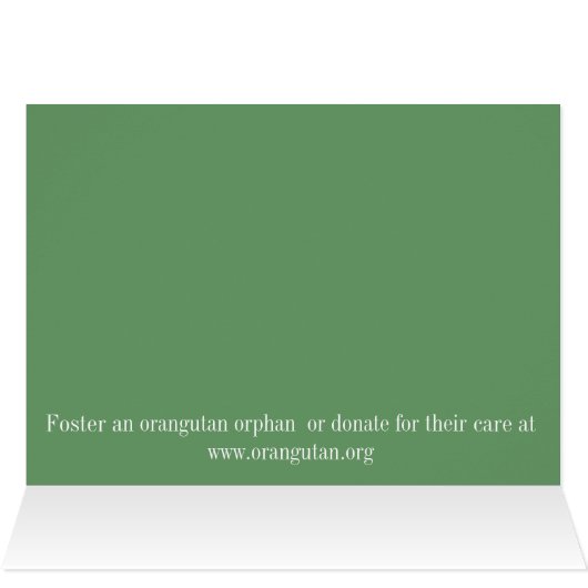 Orangutan Toddler (Inside Horizontal (Top))