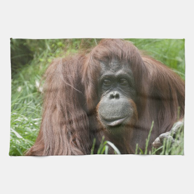 Orangutan Towel (Horizontal)