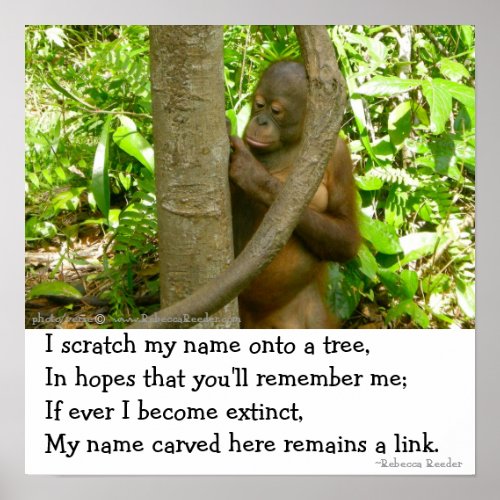 Orangutan Tribute Poster