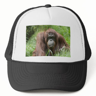 Orangutan Trucker Hat