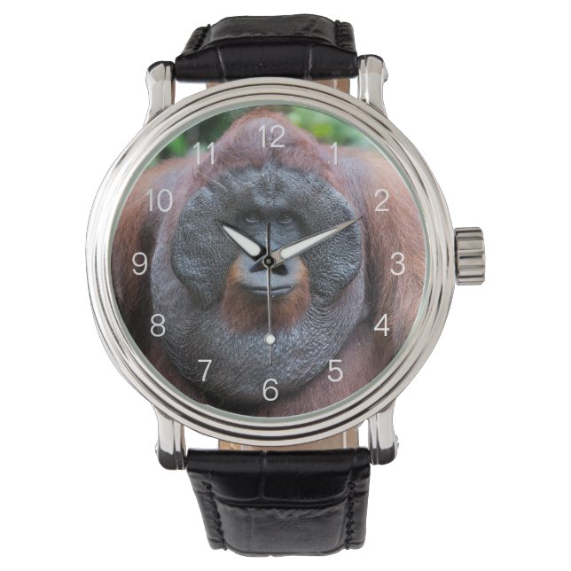 Orangutan watch (Front)